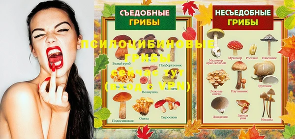 твердый Балахна