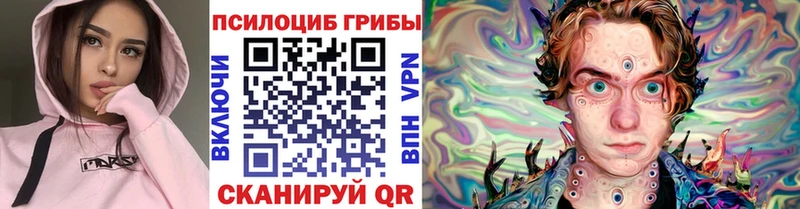 Купить закладки  Болотное  Галлюциногенные грибы GOLDEN TEACHER 