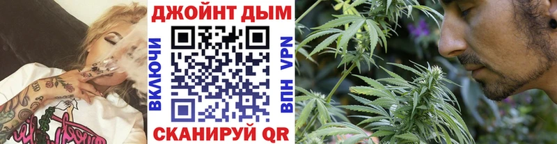 Купить где  Болотное  МАРИХУАНА сатива 